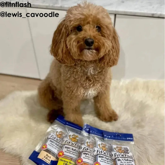 Fit 'n' Flash Venison Fillets Dog Treat 50g - DOGUE