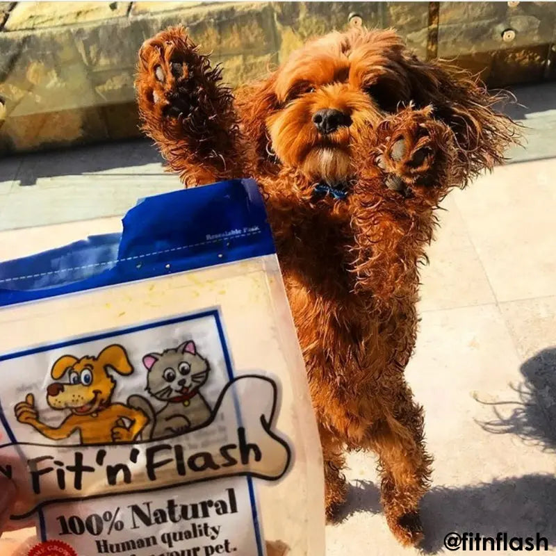 Fit 'n' Flash Venison Fillets Dog Treat 50g - DOGUE
