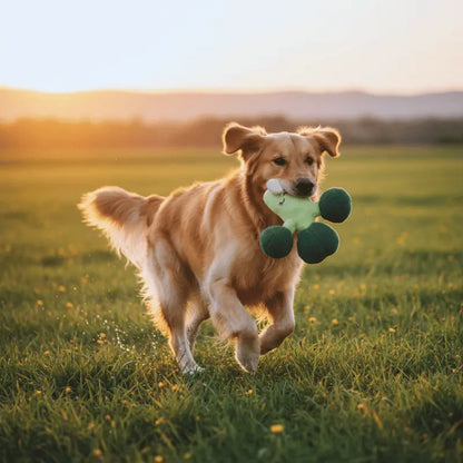 Fringe Studio Brocc Star Dog Toy | Buy Online at DOGUE Australia