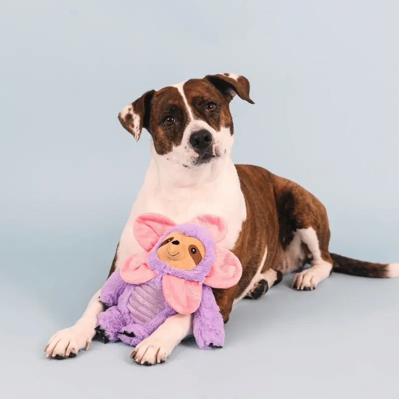 Fringe Studio I'll Grow On You Sloth Dog Toy | Buy Online at DOGUE Australia