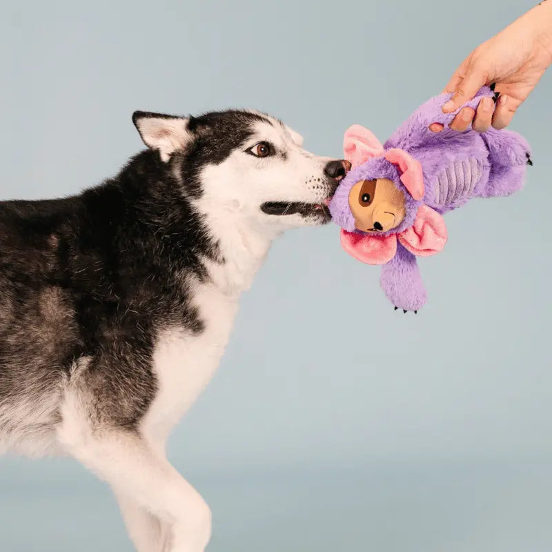 Fringe Studio I'll Grow On You Sloth Dog Toy | Buy Online at DOGUE Australia