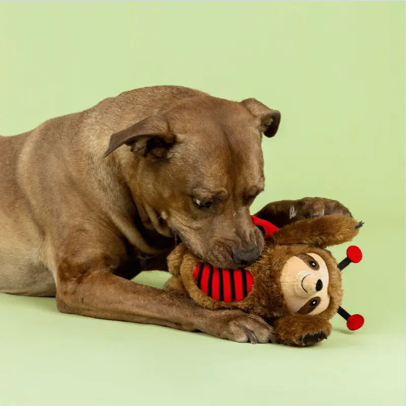 Fringe Studio Little Ladybug Sloth Dog Toy | Buy Online at DOGUE Australia