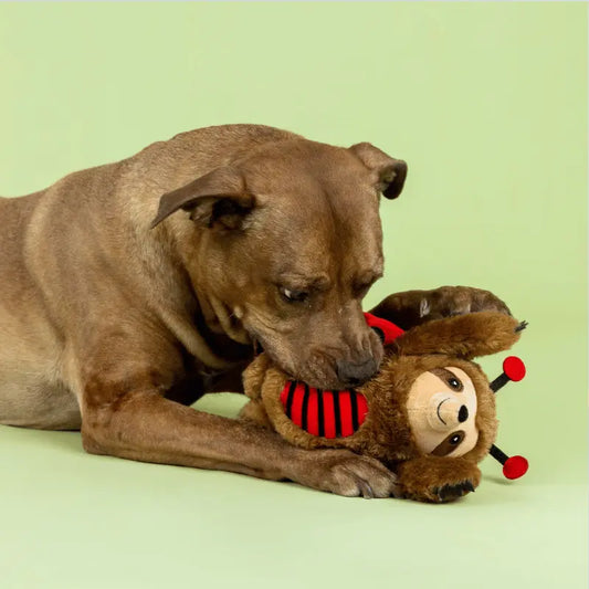 Fringe Studio Little Ladybug Sloth Dog Toy | Buy Online at DOGUE Australia
