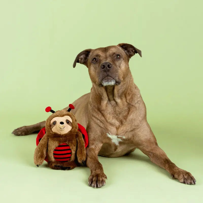 Fringe Studio Little Ladybug Sloth Dog Toy | Buy Online at DOGUE Australia