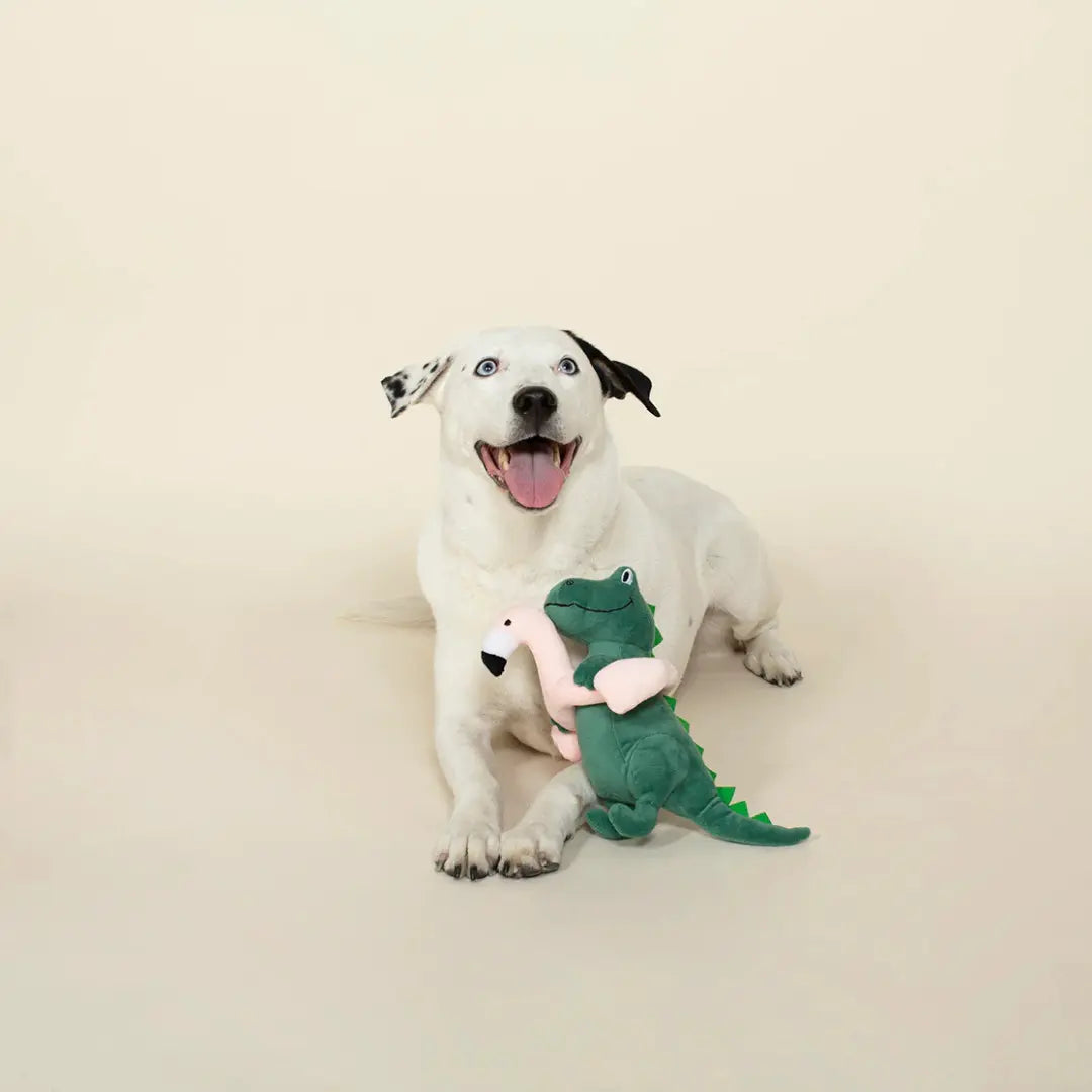 Fringe Studio Pool Time Rex Dog Toy - DOGUE