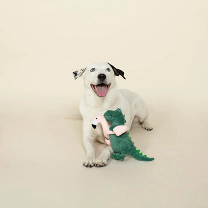 Fringe Studio Pool Time Rex Dog Toy - DOGUE