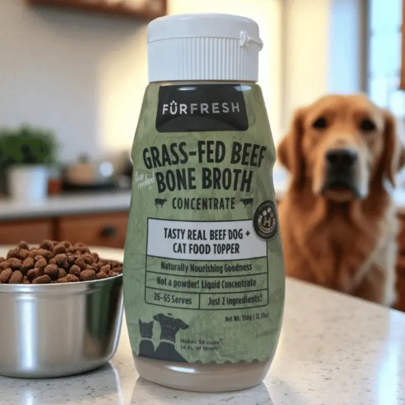 FurFresh Grass-Fed Beef Bone Broth Meal Topper | Buy Online at DOGUE Australia
