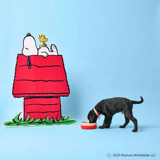 Gummi x Peanuts Ceramic Dog Bowl - DOGUE