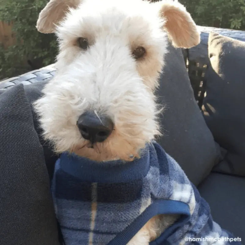 Hamish McBeth Tartan Dog Pyjamas | Buy Online at DOGUE Australia