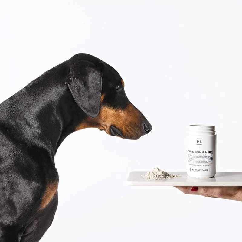 Houndztooth Coat, Skin & Nails Meal Booster | Buy Online at DOGUE Australia