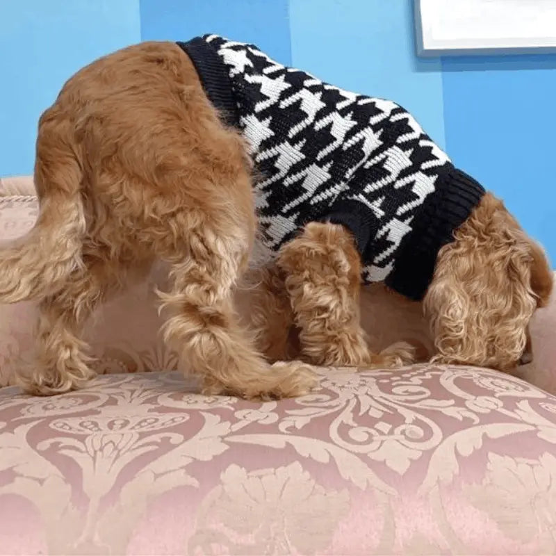 Houndztooth Dog Jumper - DOGUE