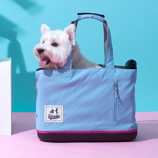 Travel Buy Online at DOGUE