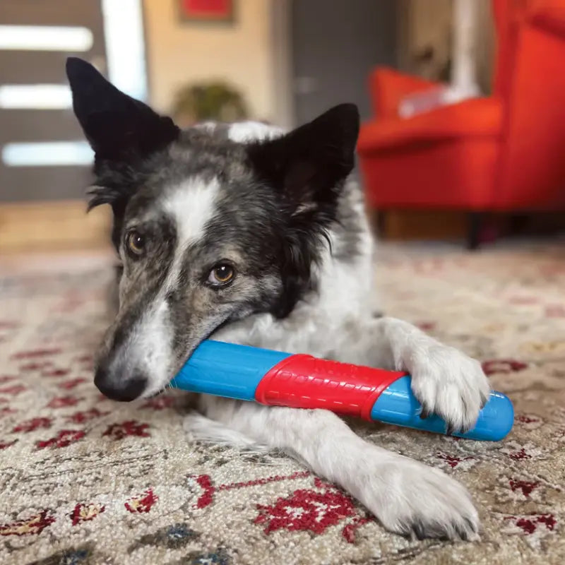 KONG Holiday CoreStrength Rattlez Stick Dog Toy | Buy Online at DOGUE Australia