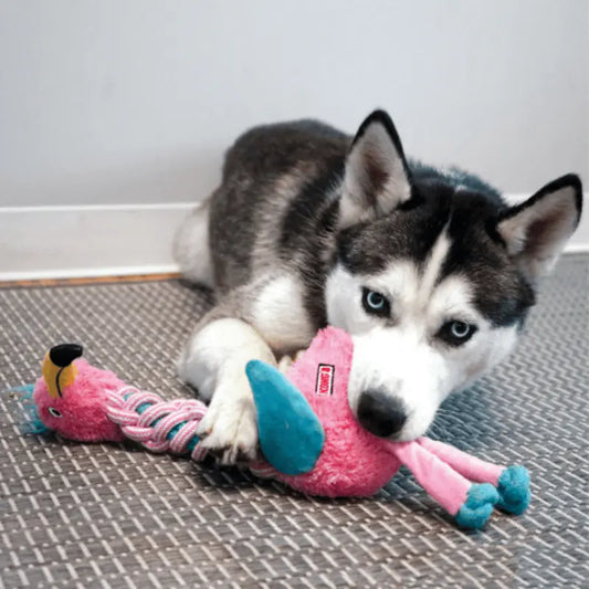 KONG Knots Twists Animal Dog Toy Assorted | Buy Online at DOGUE Australia