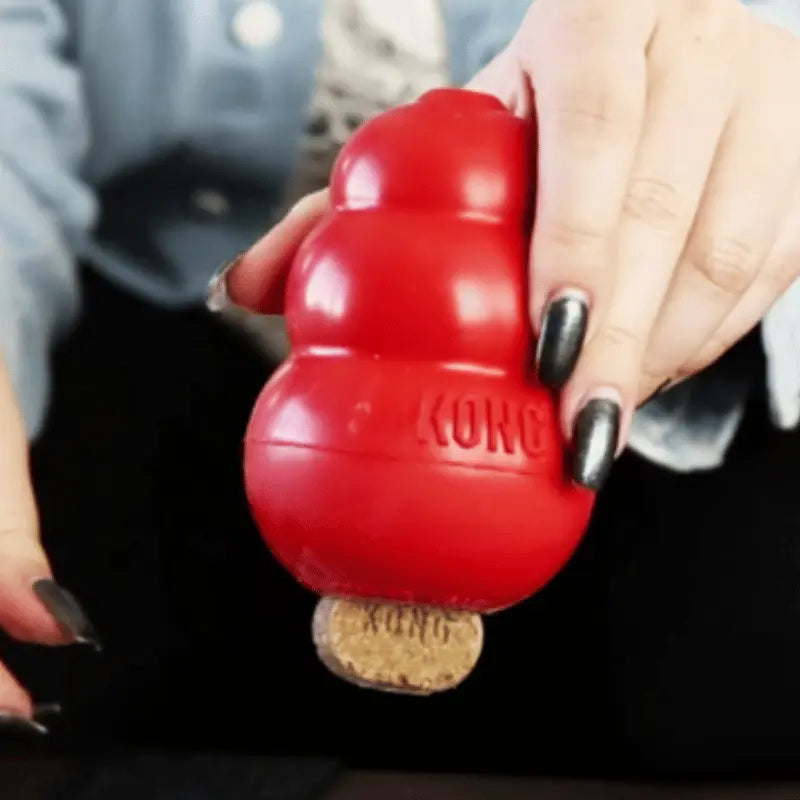 KONG Peanut Butter Dog Treat | Buy Online at DOGUE Australia