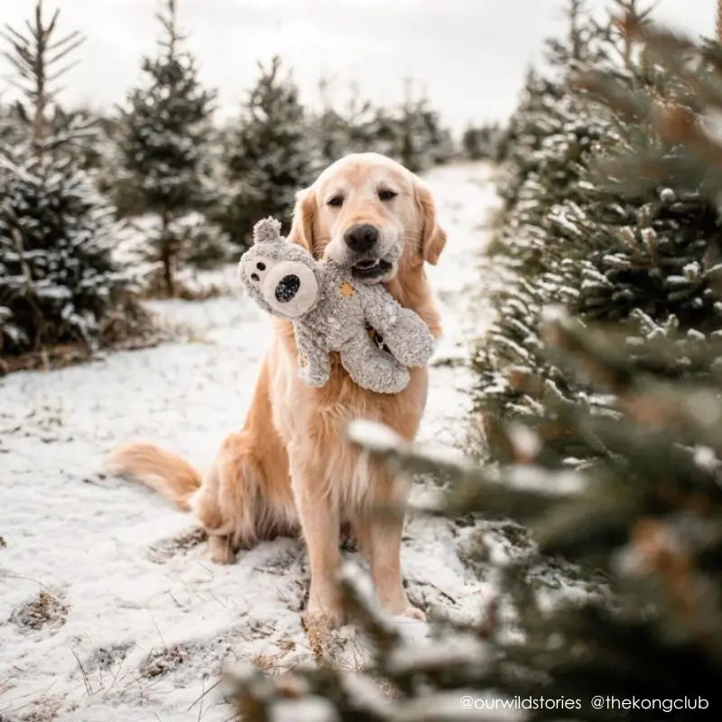 KONG Wild Knots Bear Dog Toy - DOGUE
