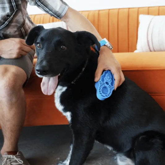 KONG ZoomGroom Dog Brush | Buy Online at DOGUE Australia