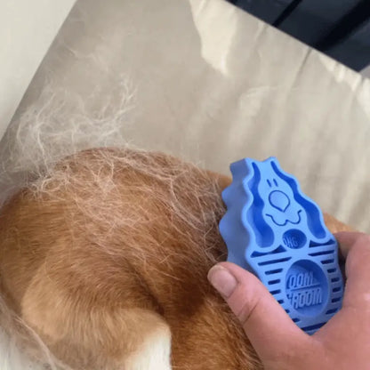 KONG ZoomGroom Dog Brush | Buy Online at DOGUE Australia