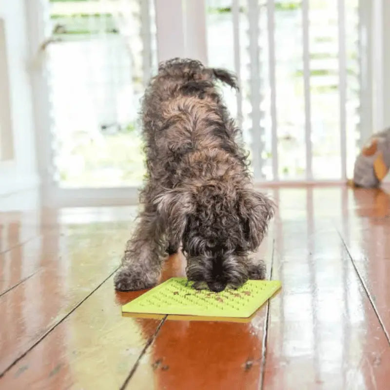 LickiMat Mini Buddy Dog Mat Green | Buy Online at DOGUE Australia