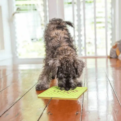 LickiMat Mini Buddy Dog Mat Green | Buy Online at DOGUE Australia