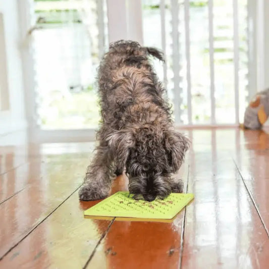 LickiMat Mini Buddy Dog Mat Green | Buy Online at DOGUE Australia
