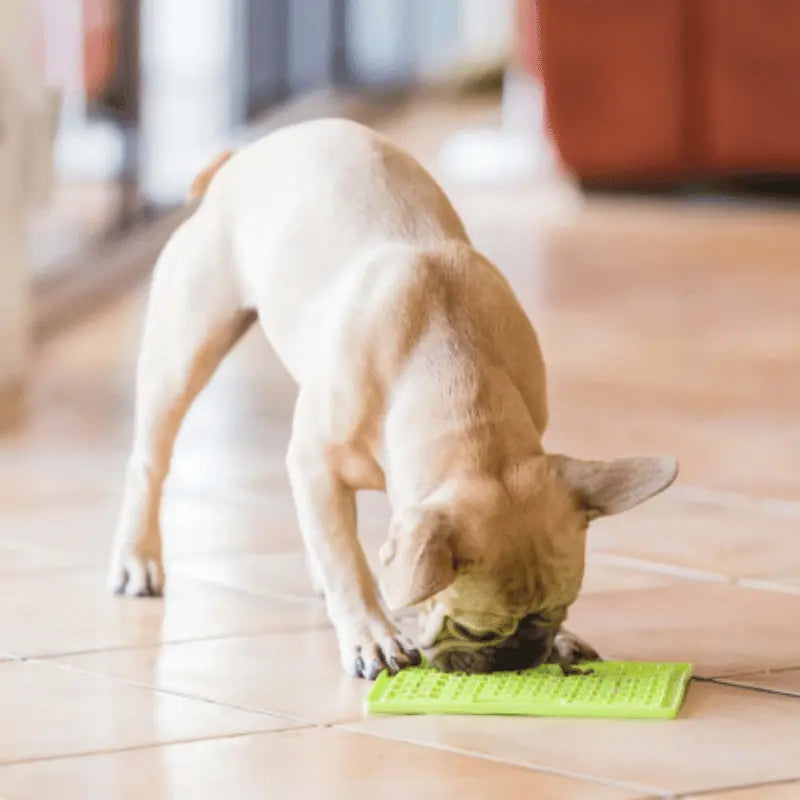 LickiMat Mini Buddy Dog Mat Green | Buy Online at DOGUE Australia