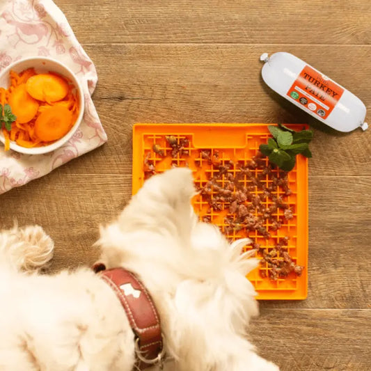 LickiMat Mini Buddy Dog Mat Orange | Buy Online at DOGUE Australia