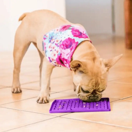 LickiMat Mini Buddy Dog Mat Purple | Buy Online at DOGUE Australia