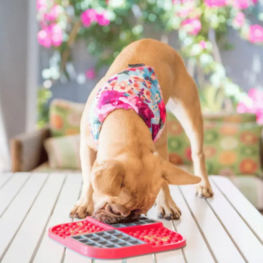 LickiMat SloMo Dog Mat Pink | Buy Online at DOGUE Australia