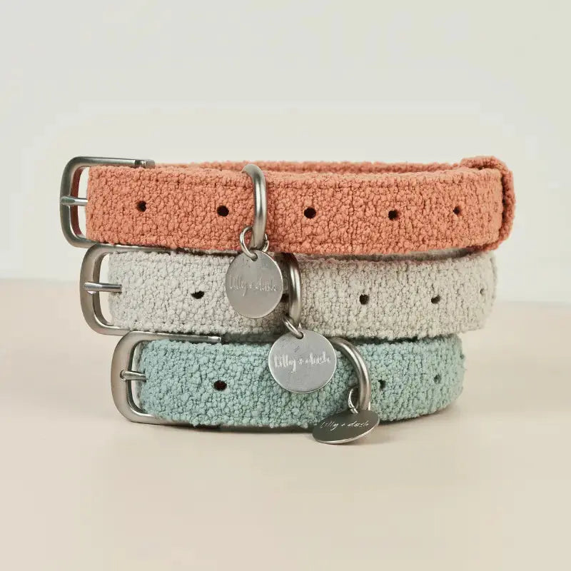 Lilly + Dash Boucle Dog Collar | Buy Online at DOGUE Australia