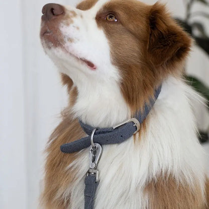 Lilly + Dash Boucle Dog Lead - DOGUE