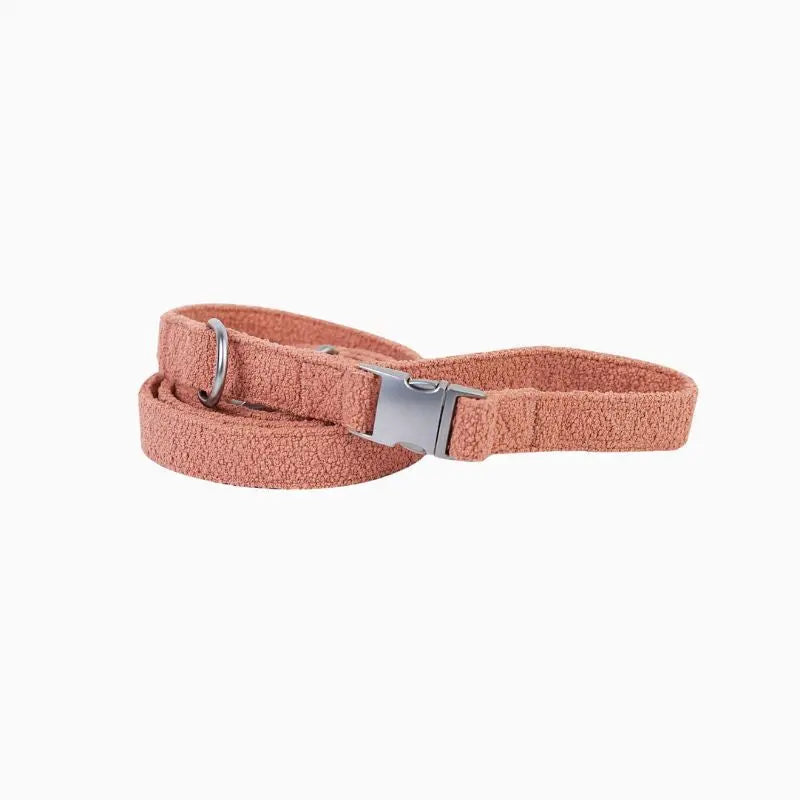 Lilly + Dash Boucle Dog Lead - DOGUE
