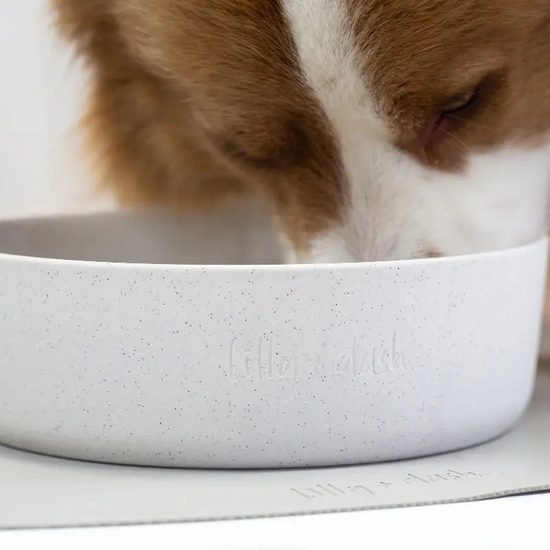 Lilly + Dash Dog Bowl Milk Speckle - DOGUE