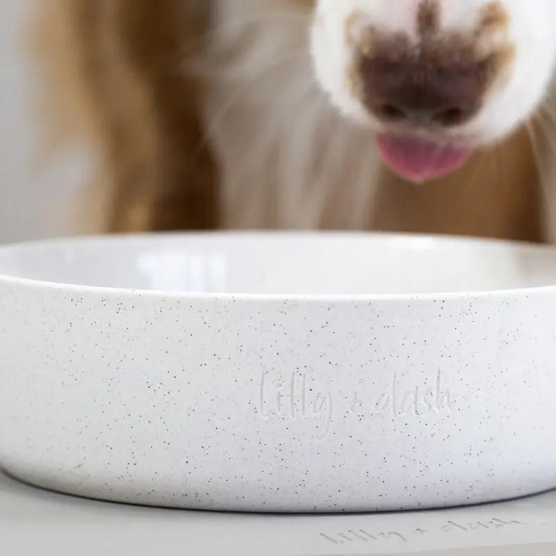 Lilly + Dash Dog Bowl Milk Speckle - DOGUE