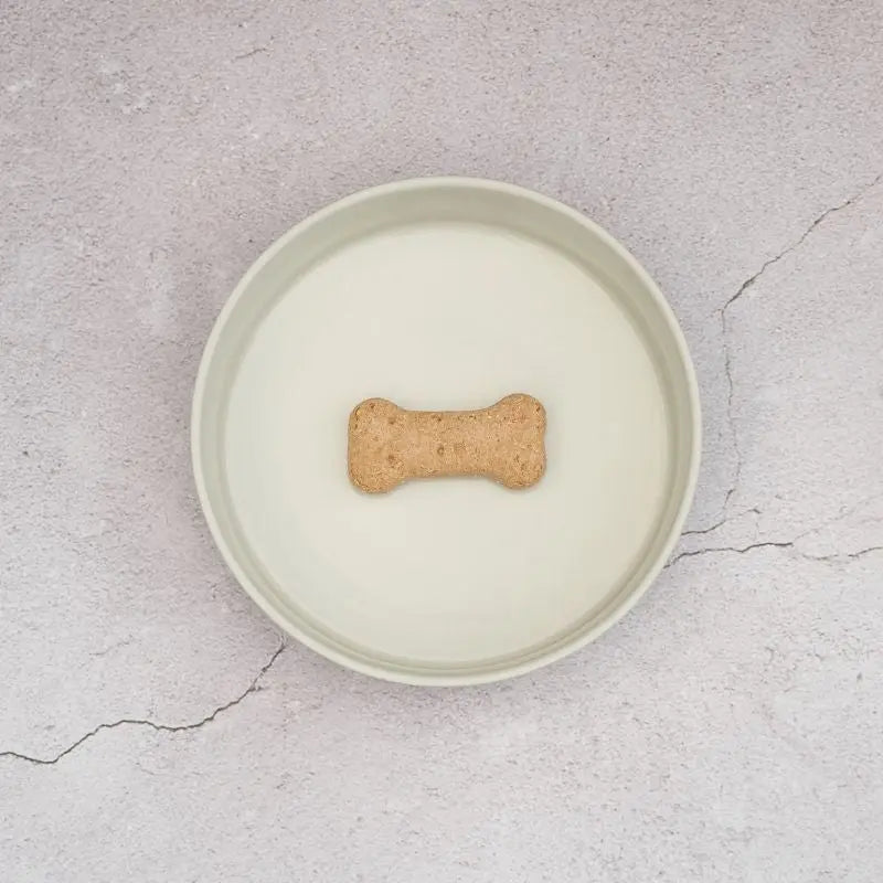 Lilly + Dash Pet Bowl Mint - DOGUE