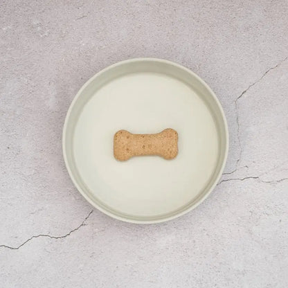 Lilly + Dash Pet Bowl Mint - DOGUE