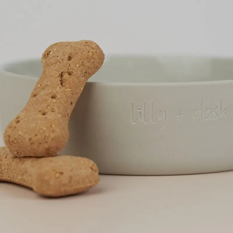 Lilly + Dash Pet Bowl Mint - DOGUE