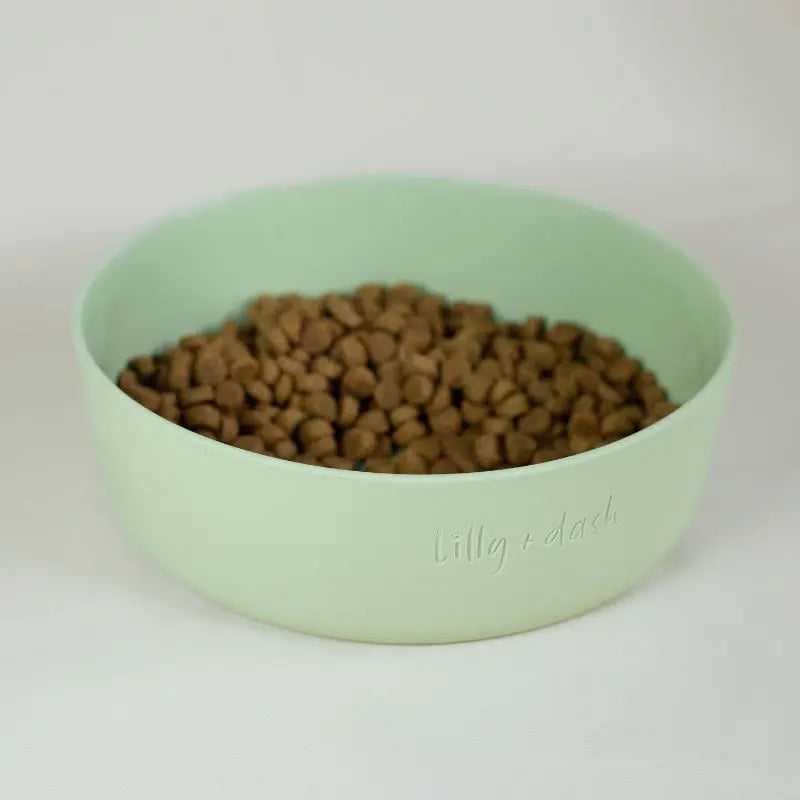 Lilly + Dash Pet Bowl Mint - DOGUE