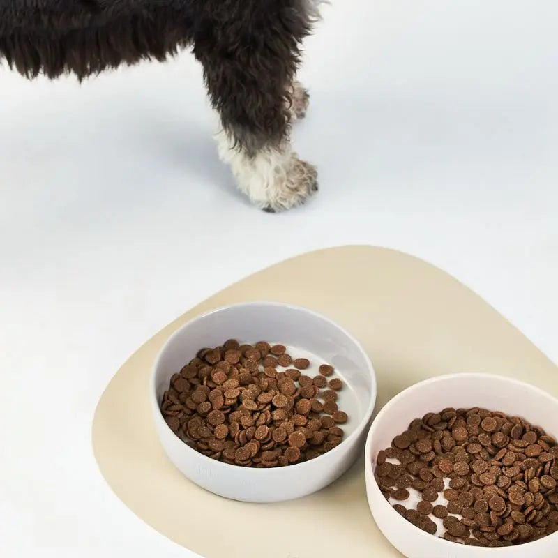 Lilly + Dash Pet Bowl Rose Quartz - DOGUE