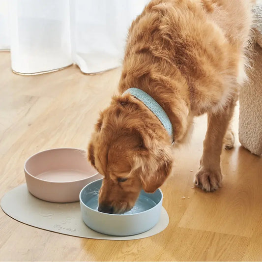 Lilly + Dash Dog Bowl Sky Blue | Buy Online at DOGUE Australia