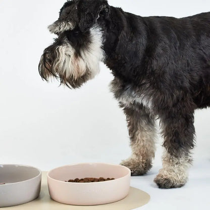 Lilly + Dash Dog Bowl Slate - DOGUE