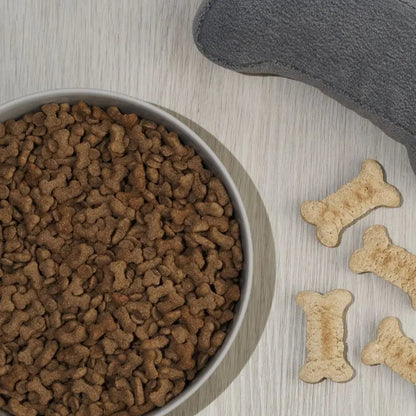 Lilly + Dash Dog Bowl Slate - DOGUE