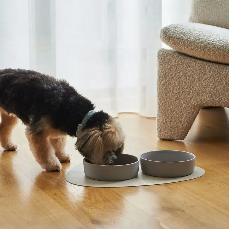 Lilly + Dash Dog Bowl Slate - DOGUE