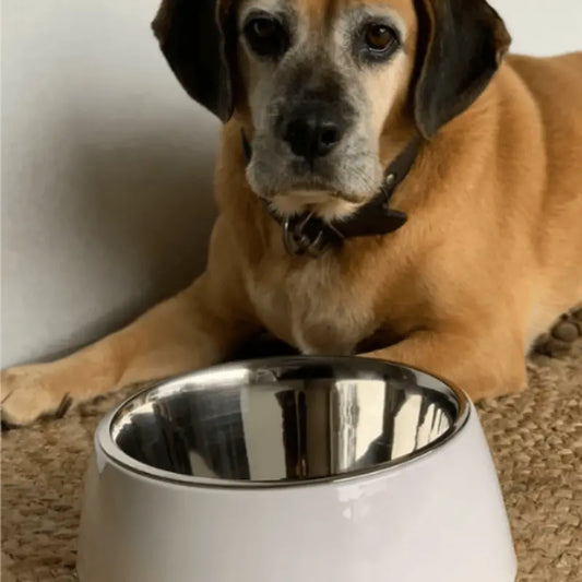 Loving Pets Retro Dog Bowl Ice White | Buy Online at DOGUE Australia