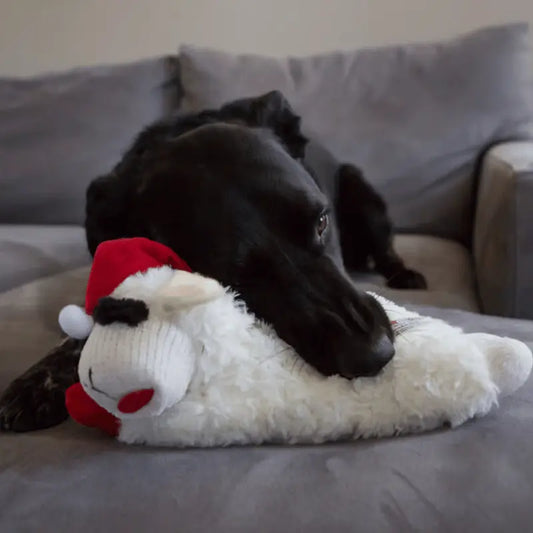 Multipet Holiday Lamb Chop Dog Toy | Buy Online at DOGUE Australia