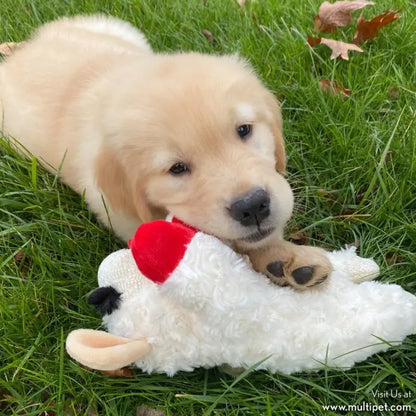 Multipet Lamb Chop Dog Toy - DOGUE