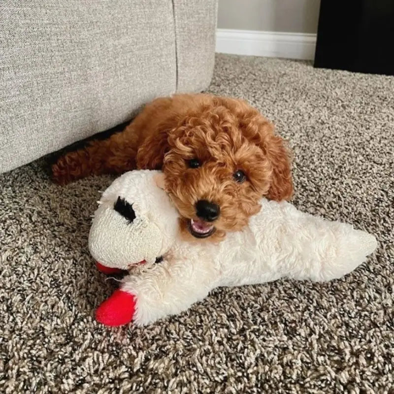 Multipet Lamb Chop Dog Toy - DOGUE