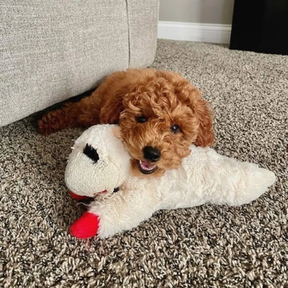 Multipet Lamb Chop Dog Toy - DOGUE