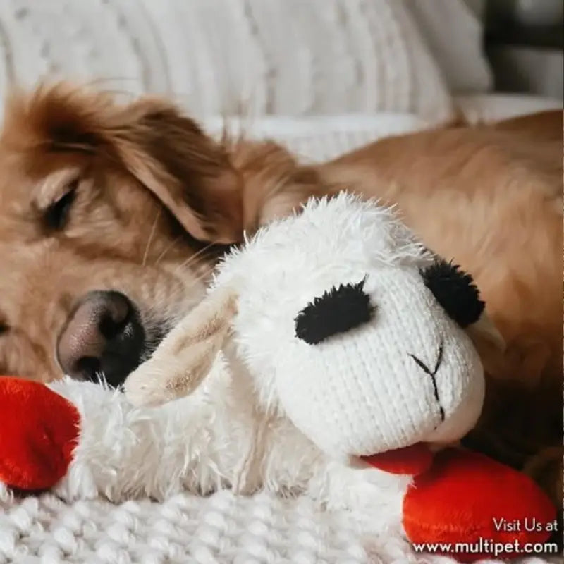 Multipet Lamb Chop Dog Toy - DOGUE