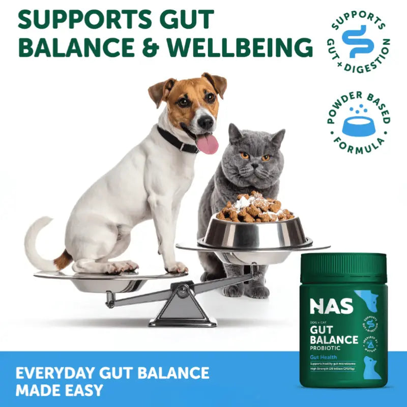 NAS Gut Balance Probiotic Meal Topper 150g | Buy Online at DOGUE Australia